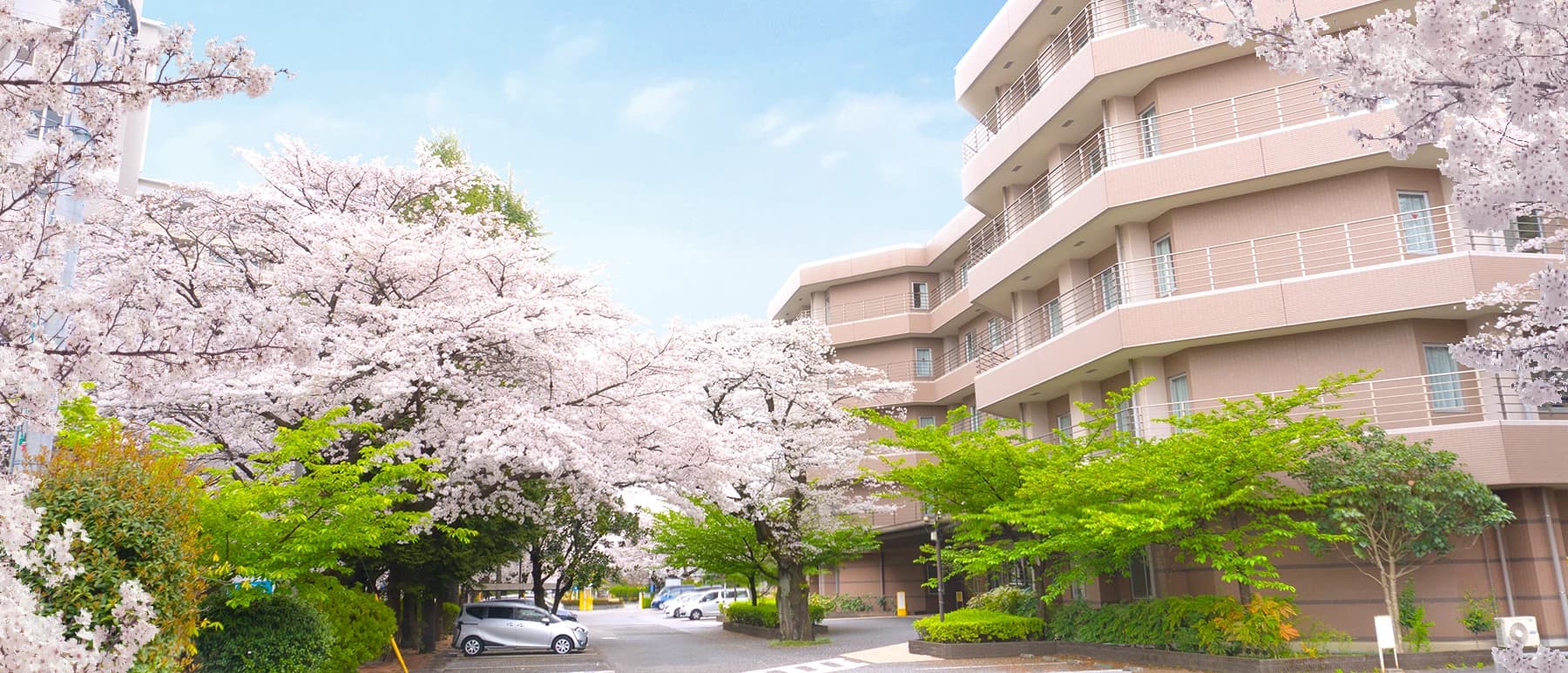 さがみ林間病院の写真 | ジストリー