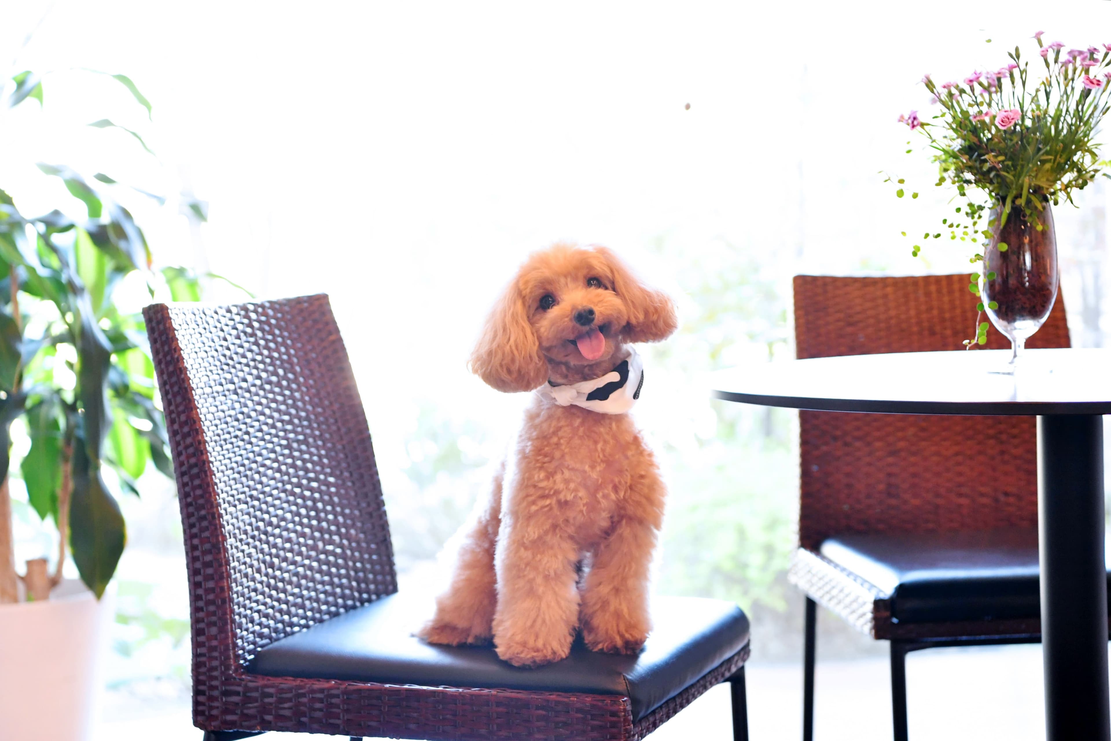 ほっとライフ伊都の写真 | ジストリー