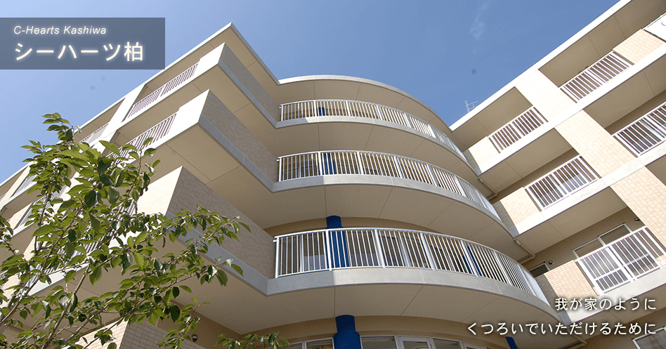 シーハーツ柏の写真 | ジストリー
