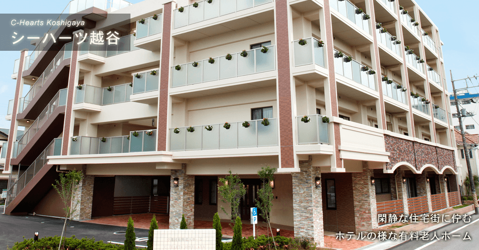 シーハーツ越谷の写真 | ジストリー