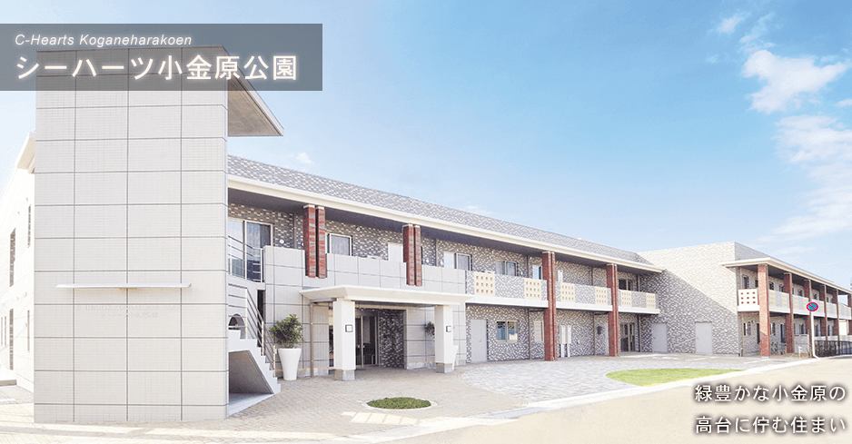 シーハーツ小金原公園の写真 | ジストリー