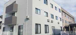 ブロッサムさくらの写真 | ジストリー