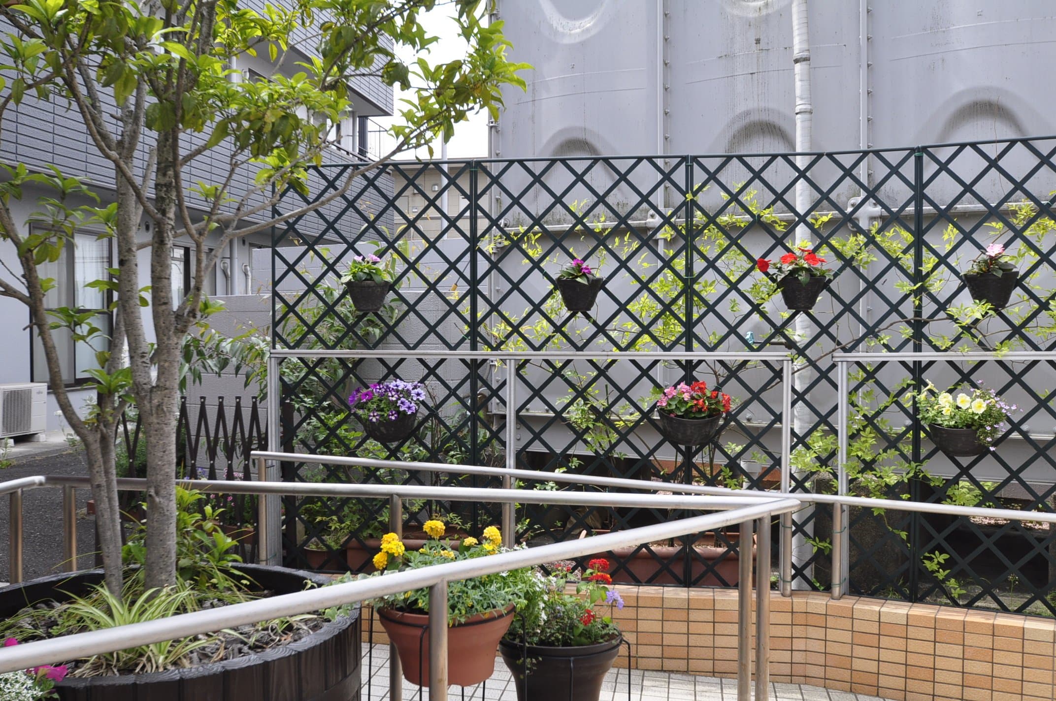 グランフォレスト登戸の写真 | ジストリー