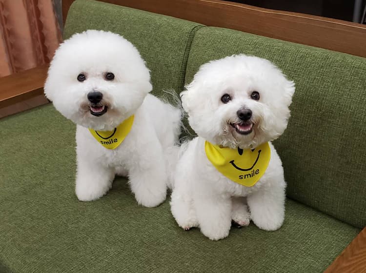 みつい訪問看護ステーションの写真 | ジストリー