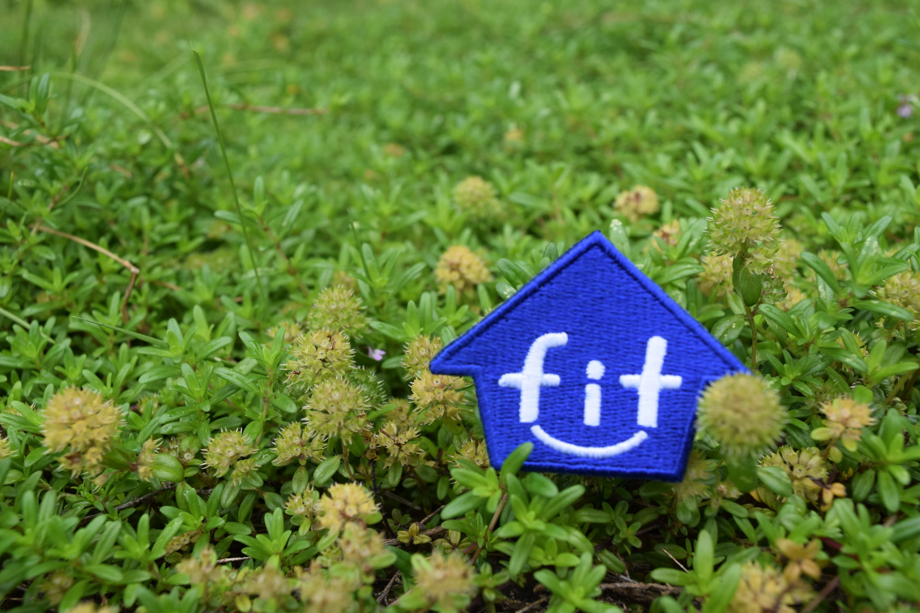 株式会社fitの写真 | ジストリー